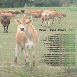 View printable CD cover for album: Fall Start