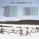 View printable CD cover for album: Simulameous