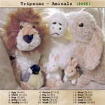 View printable CD cover for album: Aminals