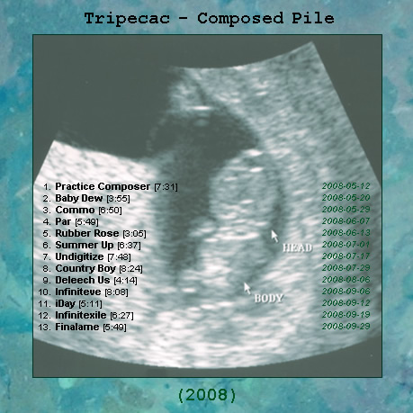 View printable CD cover for album: Composed Pile