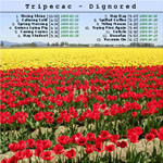 View printable CD cover for album: Dignored