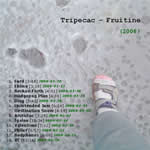 View printable CD cover for album: Fruitine