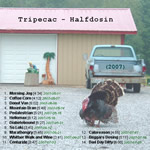 View printable CD cover for album: Halfdosin