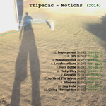 View printable CD cover for album: Motions